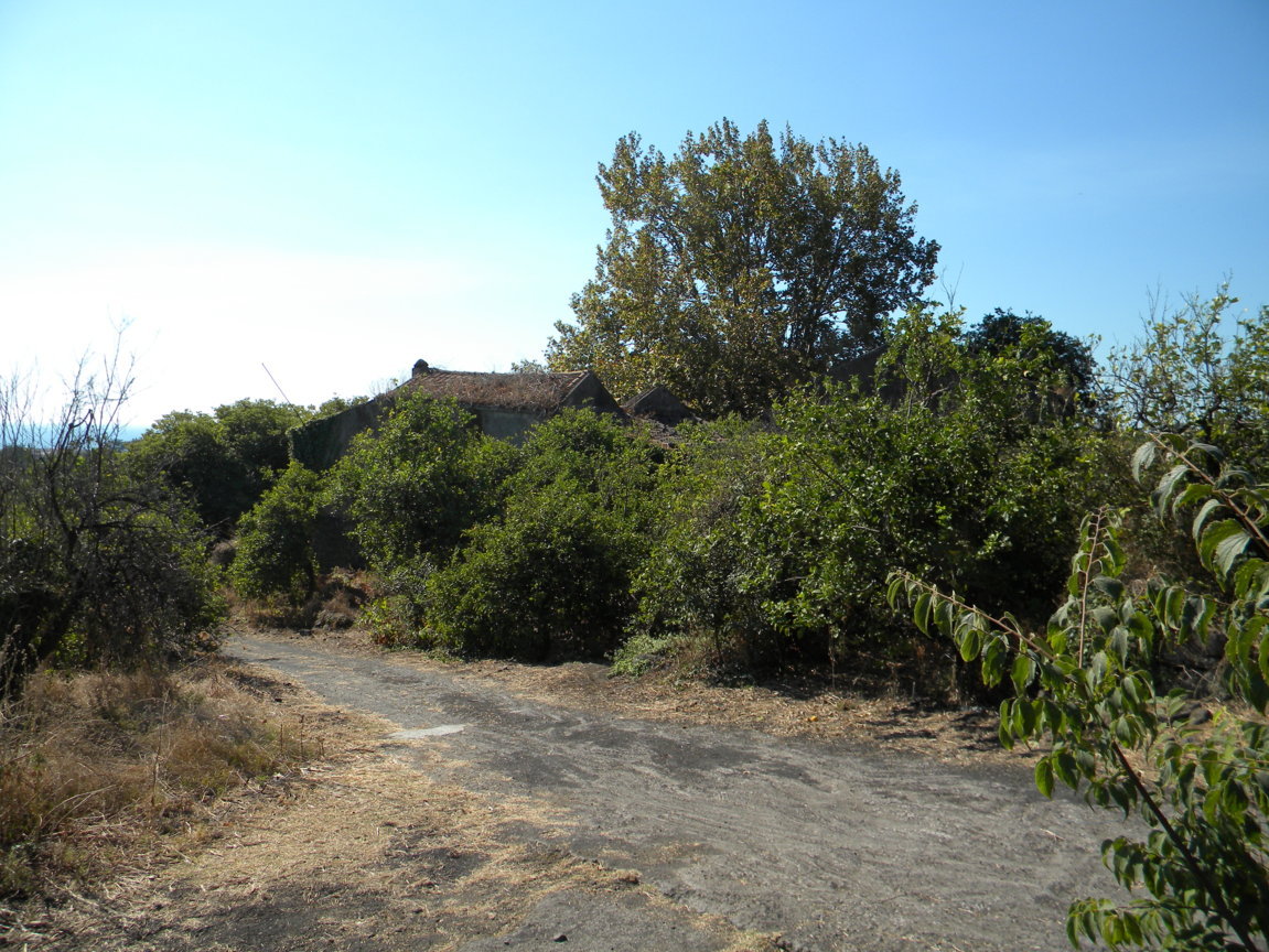 DSCN8196 .JPG